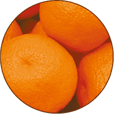 オレンジ果皮油